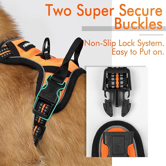 rabbitgoo Dog Harness 2 Leash