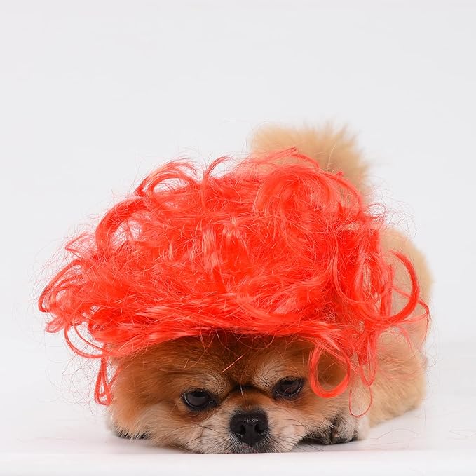 Funny Dog Cat Cosplay Wig