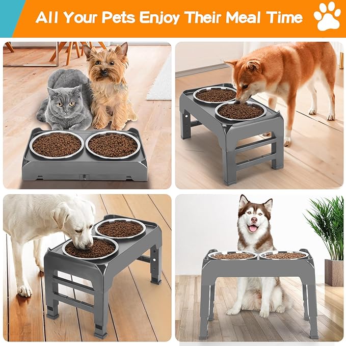 Elevated Dog Bowls 4 Height 2 Thick 50oz Stainless 3.7", 9.2", 10.75", 12.36"