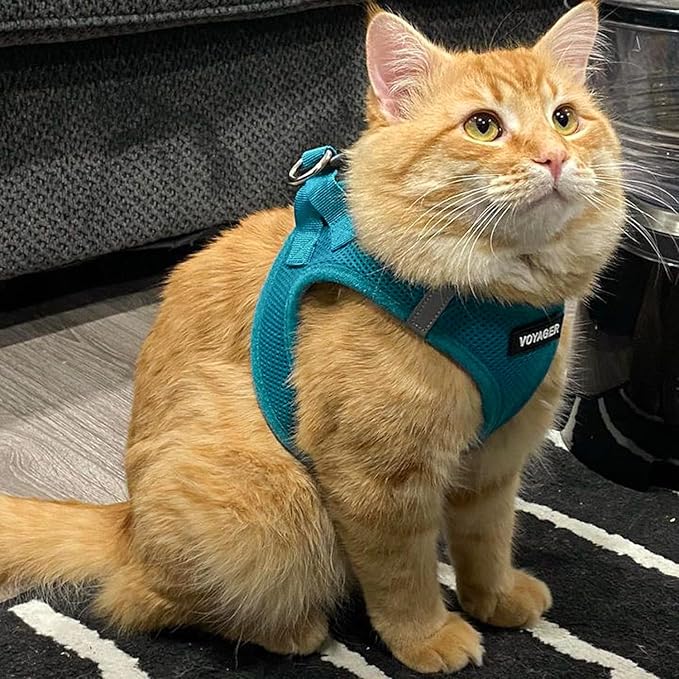 Voyager Step-in Air Dog Harness