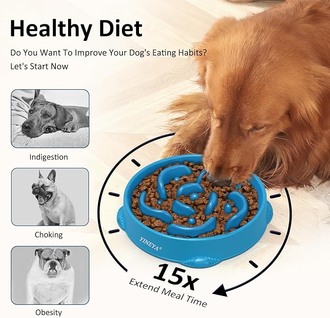 4 Cups Pet Food Bowls for Large Dogs 2Pcs Rose