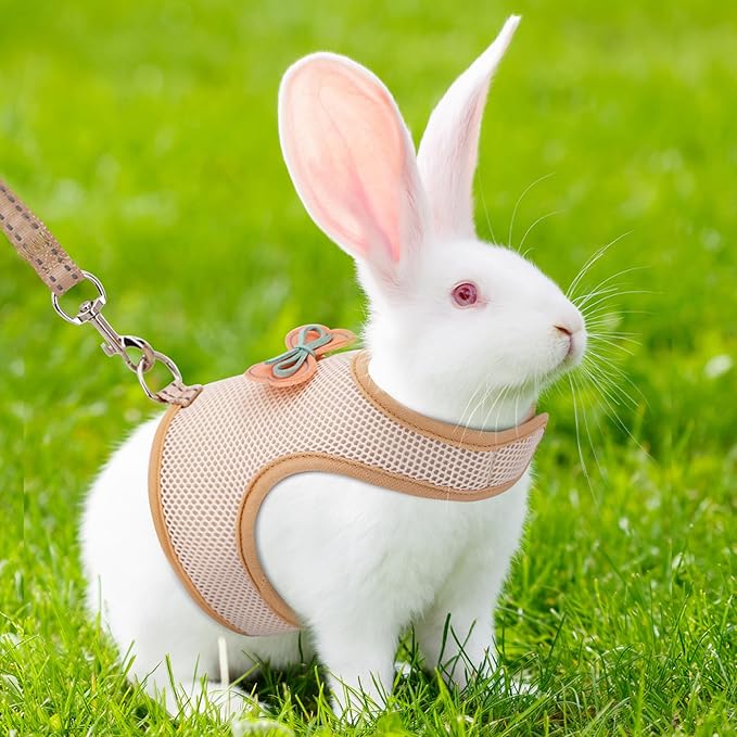 AIITLE Rabbit Harness and Leash Set with Cute Bow