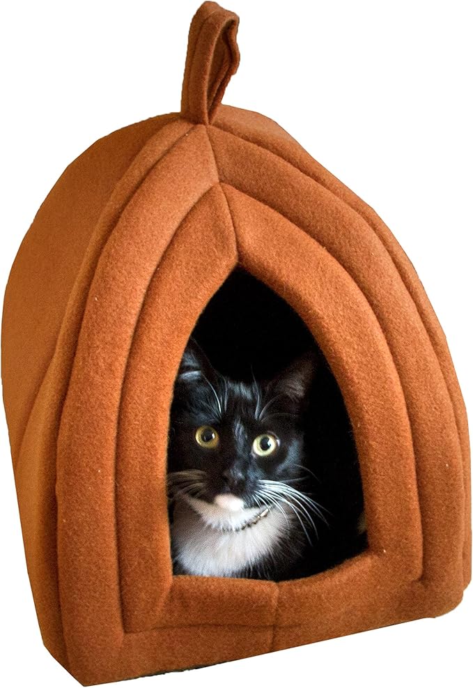 Cat House
