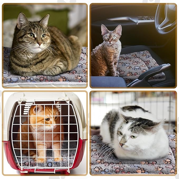 4 Pack Ultra Soft Dog Cat Bed Mat with Cute Prints Reversible Fleece Dog Crate Kennel Pad Cozy Washable Thickened Hamster Guinea Pig Bed Pet Bed Mat for Small Animals (Gray 23 x 18 Inches)