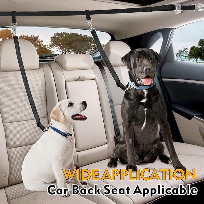 Truck Bed Dog Leash System for Two Dogs 150lbs, Dog