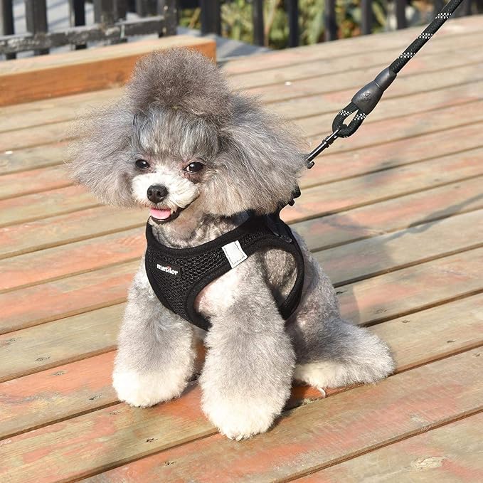 Dog Harness Step-in Breathable Puppy Cat Dog Vest