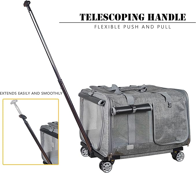 Innovative Cat Carrier for 2 Cats