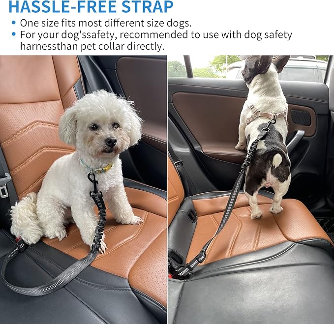 Car Seat Belt Harness for Dog 360 Degree