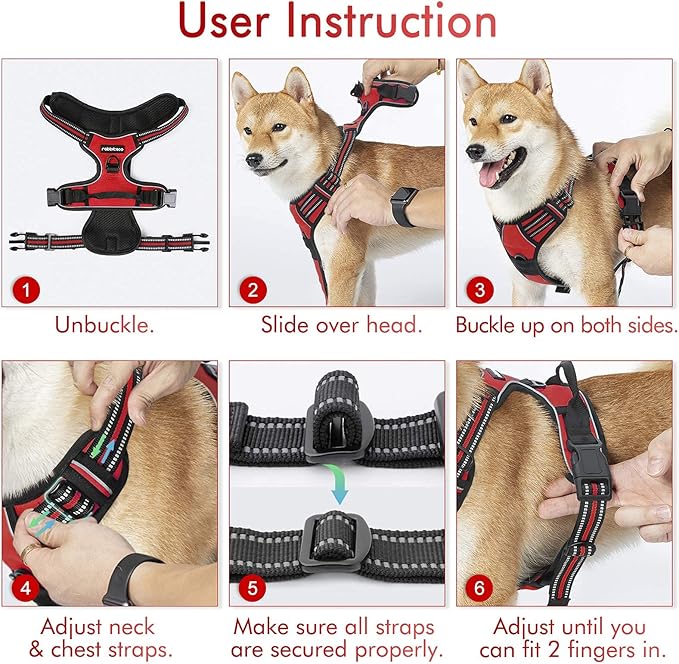 rabbitgoo Dog Harness 2 Leash