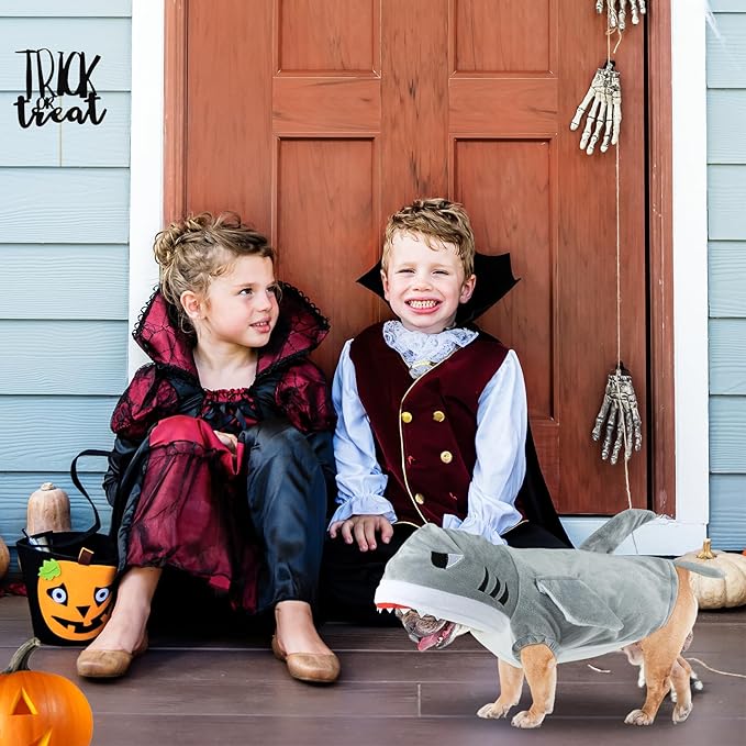 Cat Shark Costume