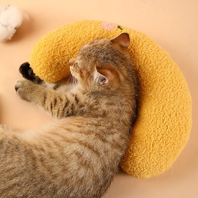 Cat Pillows for Indoor Cats