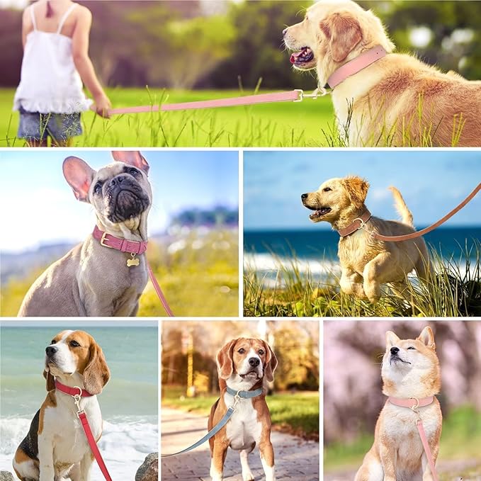 Beirui Soft Padded Leather Dog Collar and Leash Set 4FT Leather