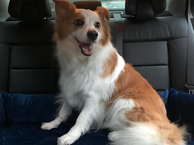 Brilliant Sunshine Premium Blue Silky Velvet Pet Sofa Bed