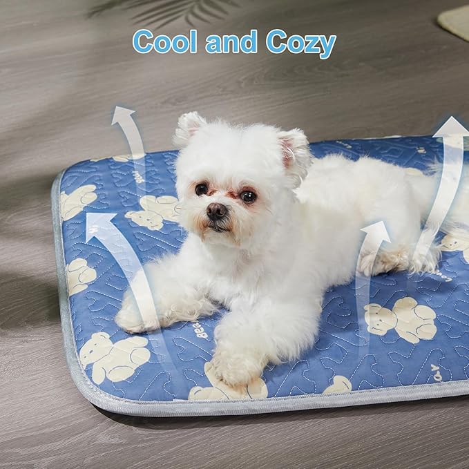 Jiupety Thin Cozy Cotton Dog Crate Bed Mat with Bear 28" x 22" x 0.8", Comfy