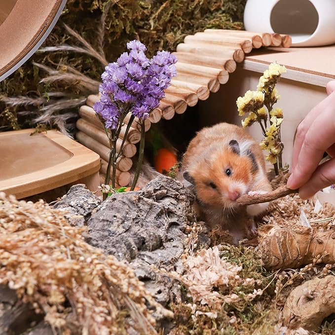 Niteangel Hamster Snack & Treats Toy 0.9oz (25g))