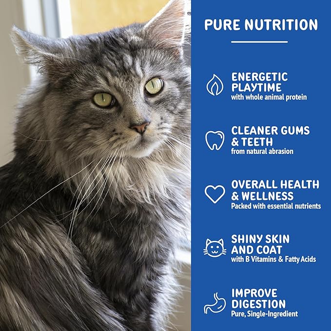 Freeze Dried Minnows for Cats & Dogs (1.5 oz)