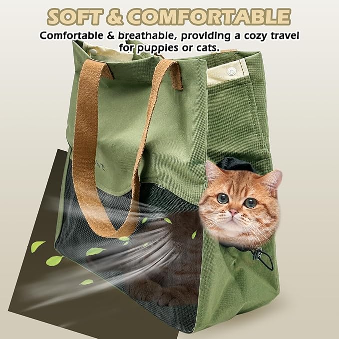 Fhiny Cat Purse Carrier