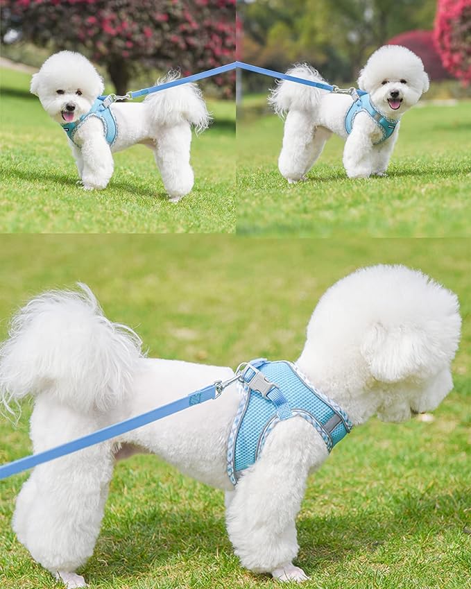 Petank Dog Harness for Small Medium Dogs No Pull