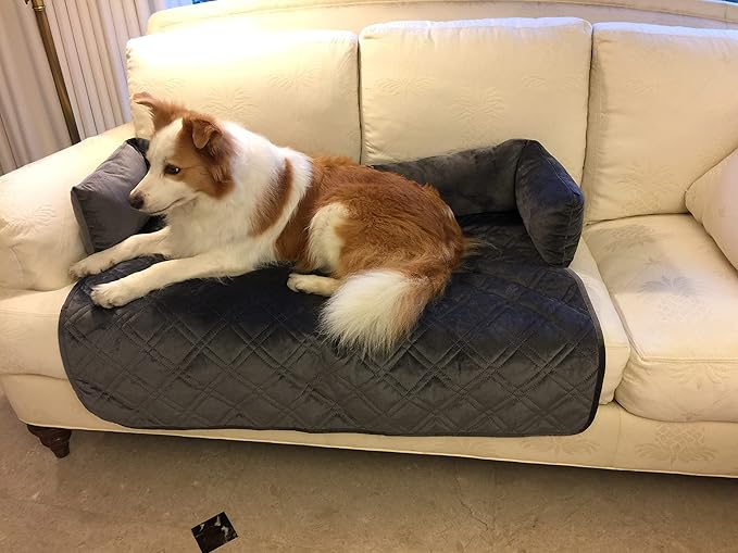 Brilliant Sunshine Premium Grey Silky Velvet Pet Sofa Bed