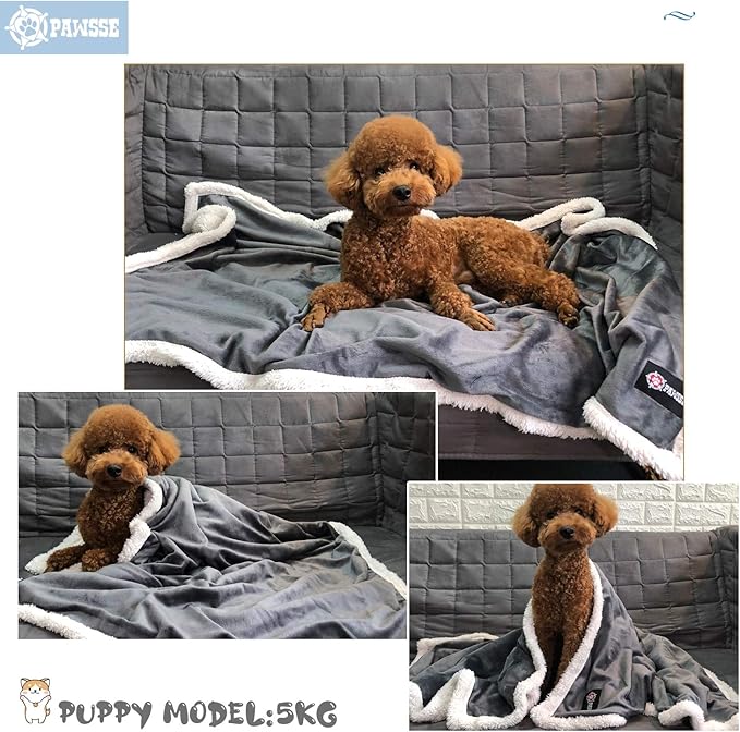 Puppy Blanket 45x30 Grey