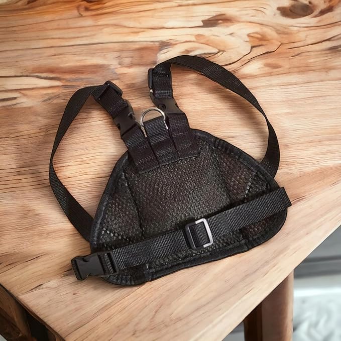 Cute Outdoor Backpack for Small Pets