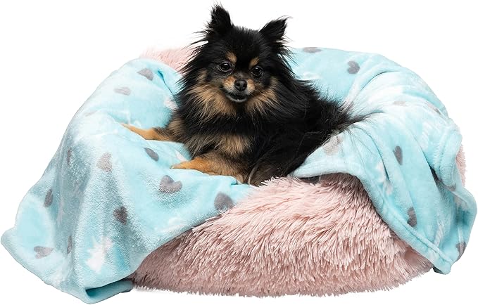 Juicy Couture Turquoise Blue Dog Blanket – Plush Puppy Blanket Throw