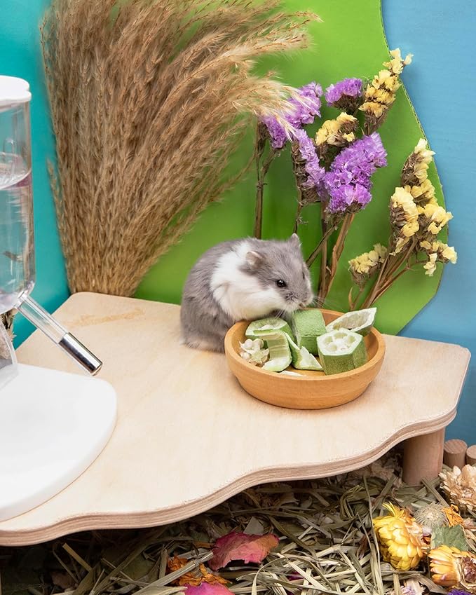 Niteangel Hamster Snack & Treats Toy 0.2oz (5.5g))