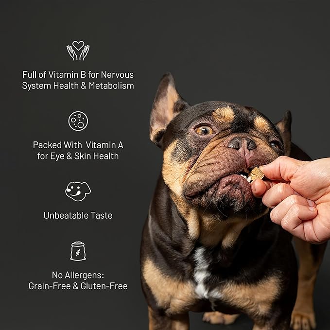 Get Joy Freeze Dried Superfood 100% Beef Liver Dog Treats 4 Ounce