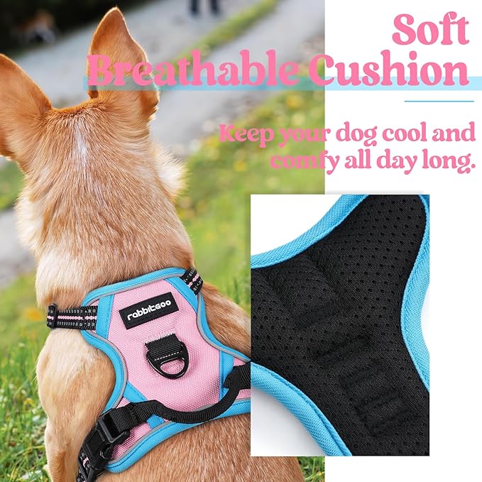 rabbitgoo Dog Harness 2 Leash