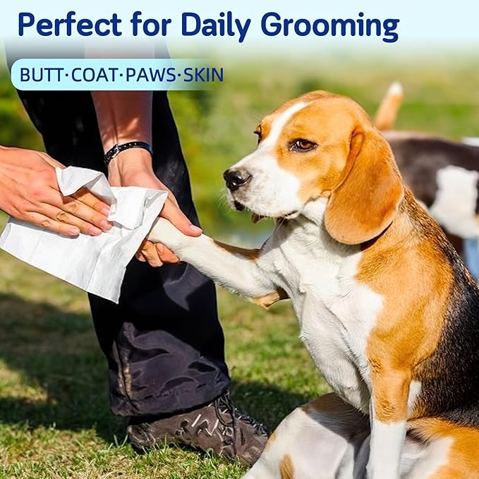 Dog Cleaning Wipes for Paws 8'' x 8'' Hypoallergenic 400 Count