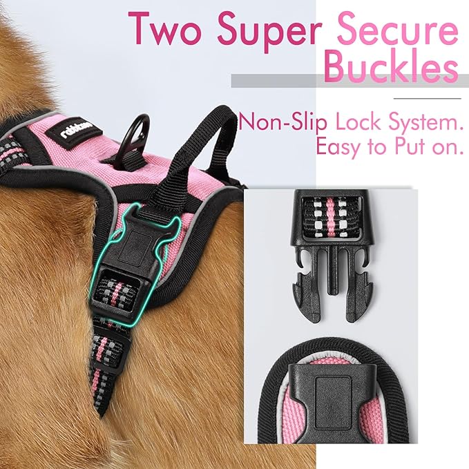 rabbitgoo Dog Harness 2 Leash