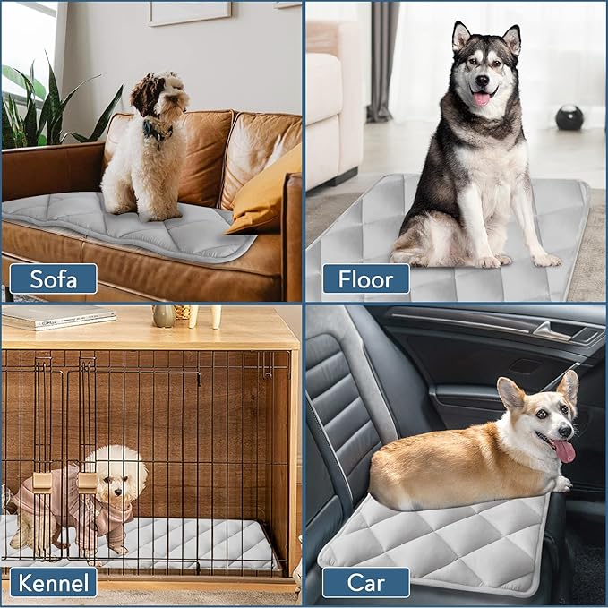 Dog Crate Pad 2 Pack (36" x 23") 36 Inch