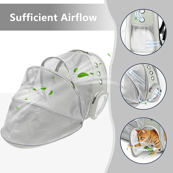 TOYSINTHEBOX Cat Backpack Carrier 13 Lbs