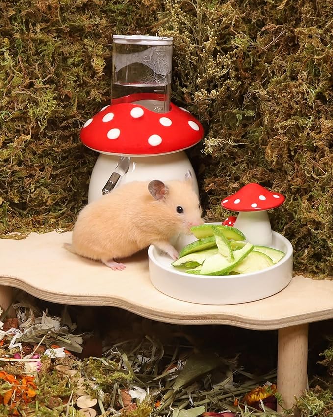 Niteangel Hamster Snack & Treats Toy