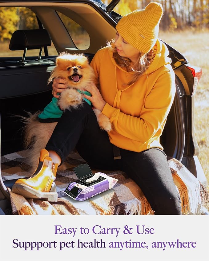 HICC PET Pet Wipes Cleaning Deodorizing for Dogs & Cats 100 Counts