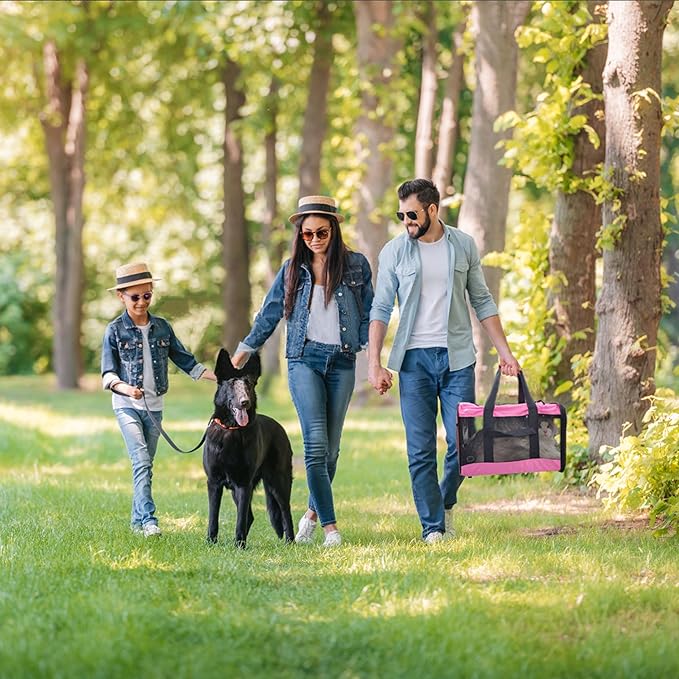 Soft Sided Airline Approved Cat Carrier 17 Lbs