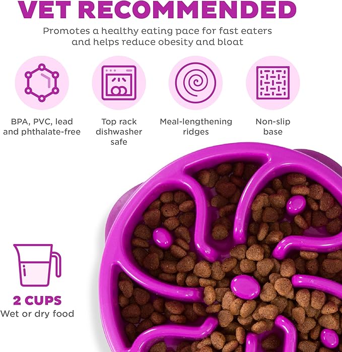 Outward Hound Fun Feeder Slo Bowl