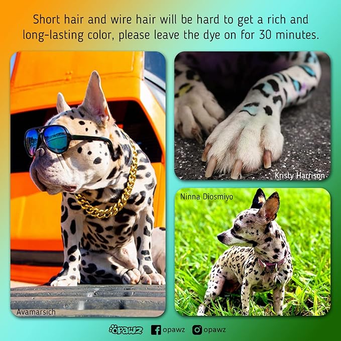 OPAWZ Permanent Dog Hair Dye 20 Washes,