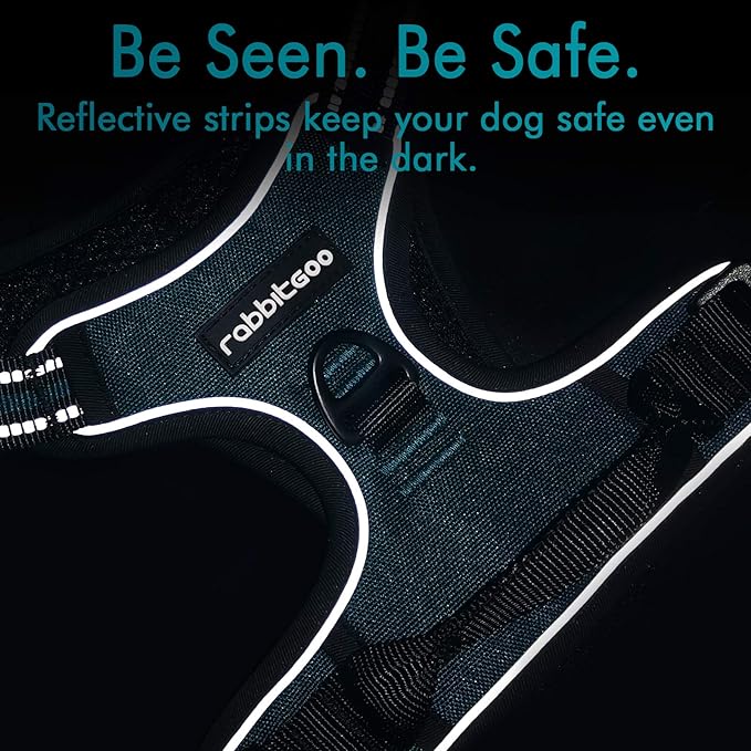 rabbitgoo Dog Harness 2 Leash
