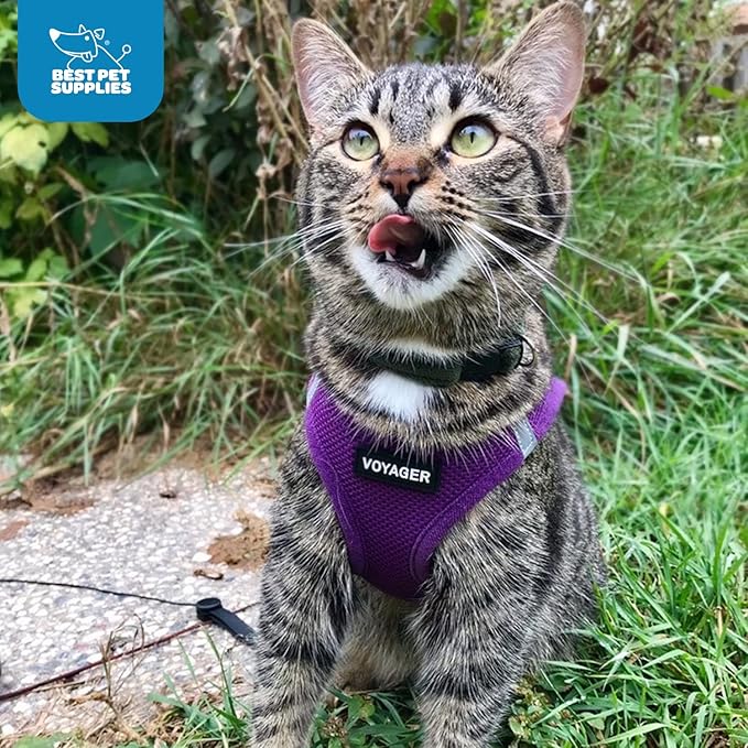 Voyager Step-in Air Cat Harness 10.5-13")