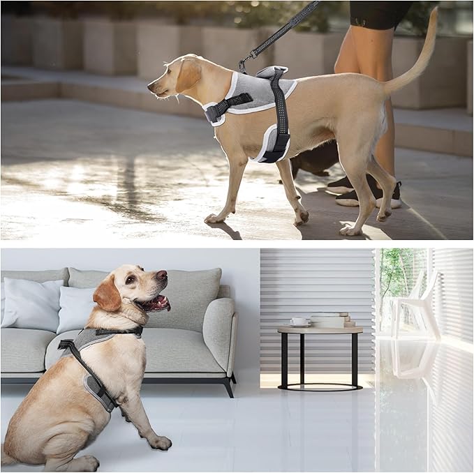 Tactical Dog Harness for Large Dogs