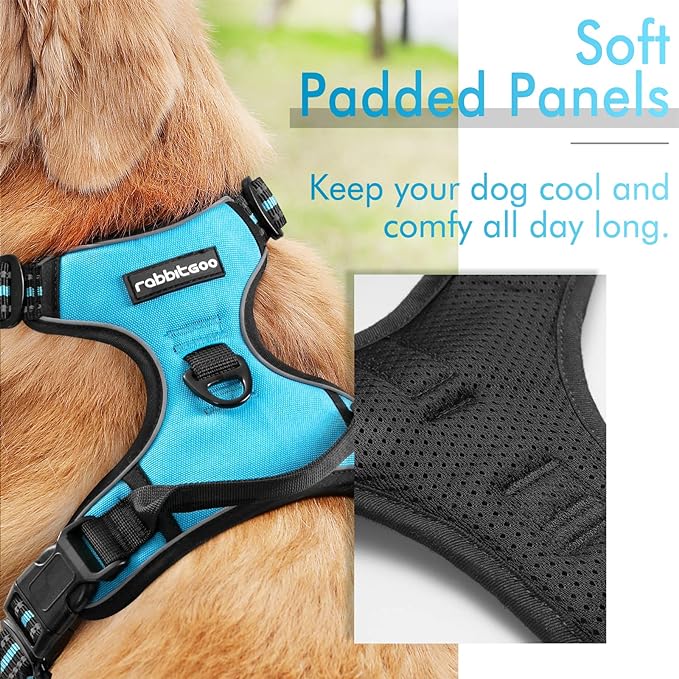 rabbitgoo Dog Harness 2 Leash