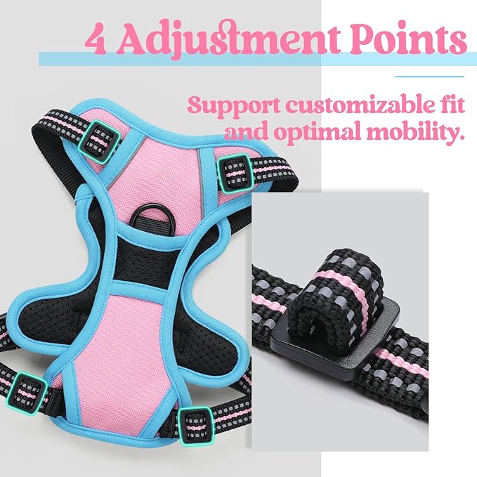 rabbitgoo Dog Harness 2 Leash