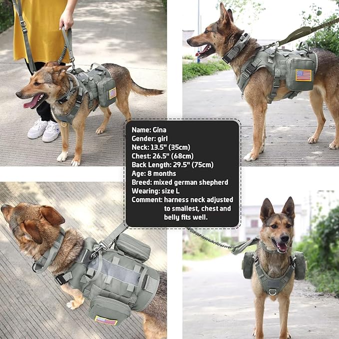 Forestpaw Tactical Dog Harness for Large Dogs