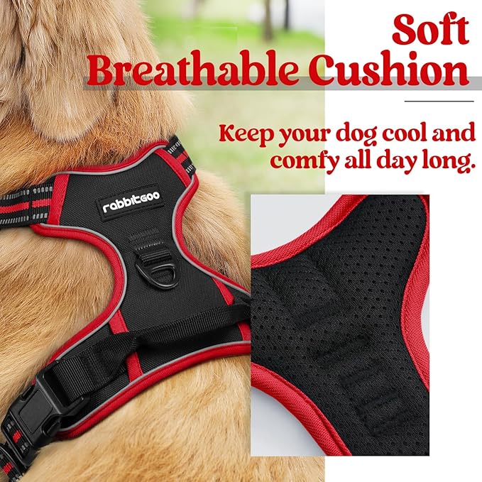 rabbitgoo Dog Harness 2 Leash