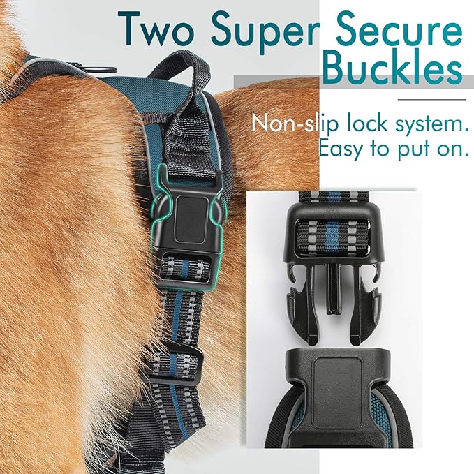 rabbitgoo Dog Harness 2 Leash
