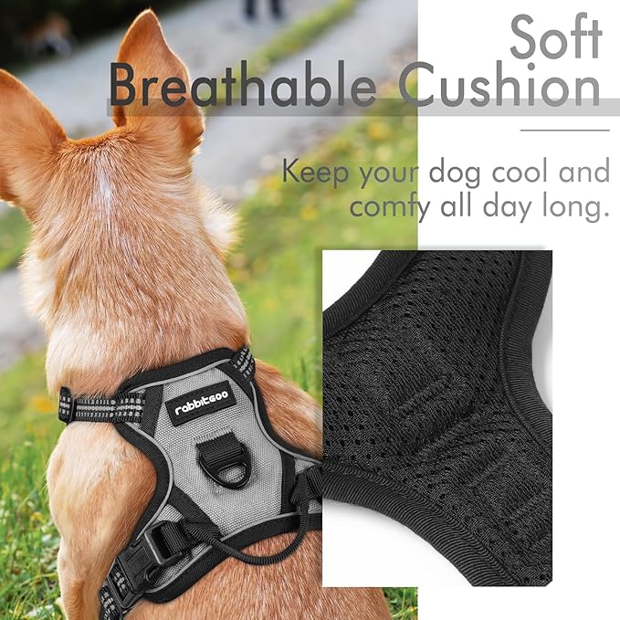 rabbitgoo Dog Harness 2 Leash