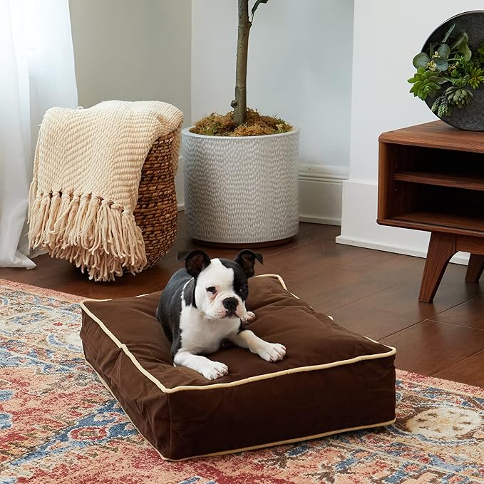 Buster Reversible Rectangle Pillow Style Dog Bed (24 x 18 in.)