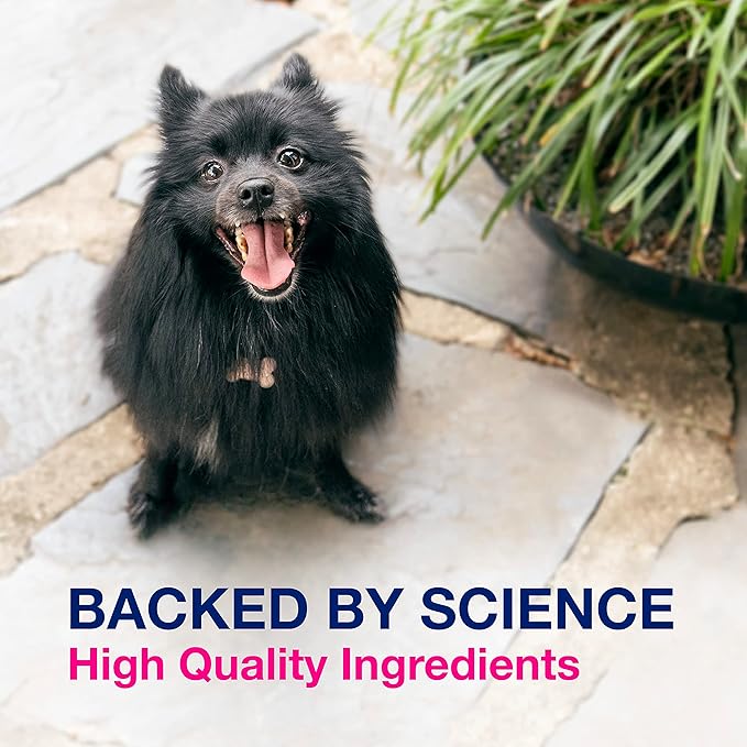 Nutramax Laboratories Proviable Digestive Health Supplement Multi-Strain Probiotics and Prebiotics for Dogs 7-Strains of 60 Chewable