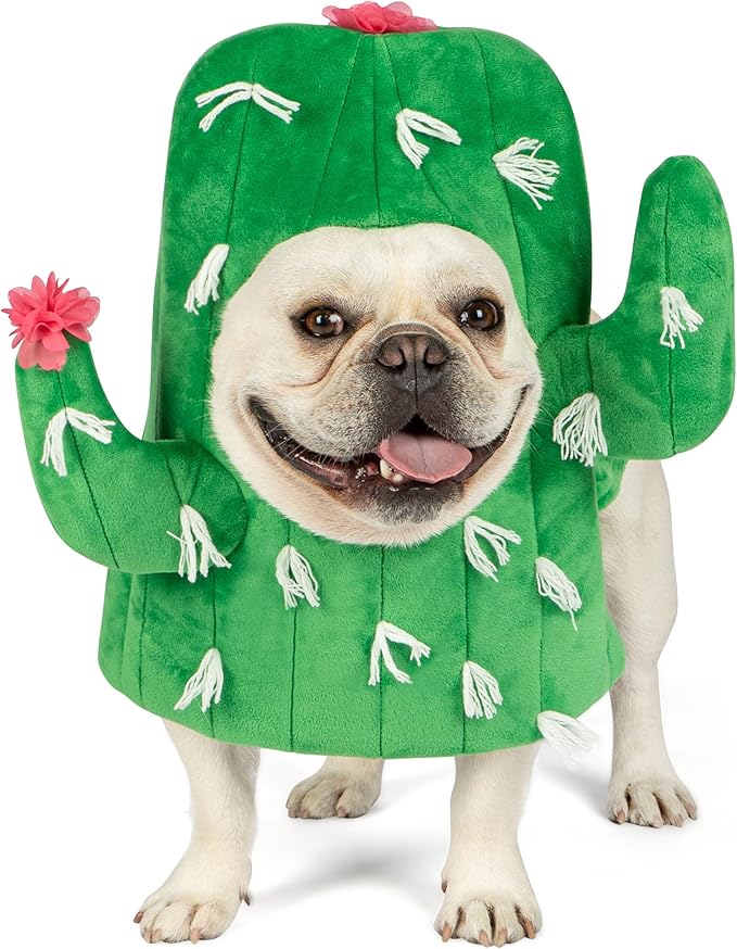 cyeollo Dog Costume Funny Cactus Dog Costumes Cute Halloween Cosplay Dog Clothes Holiday Party Outfits for Small Medium Dogs